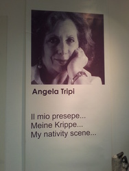Cover eines Buches von Angela Tripi